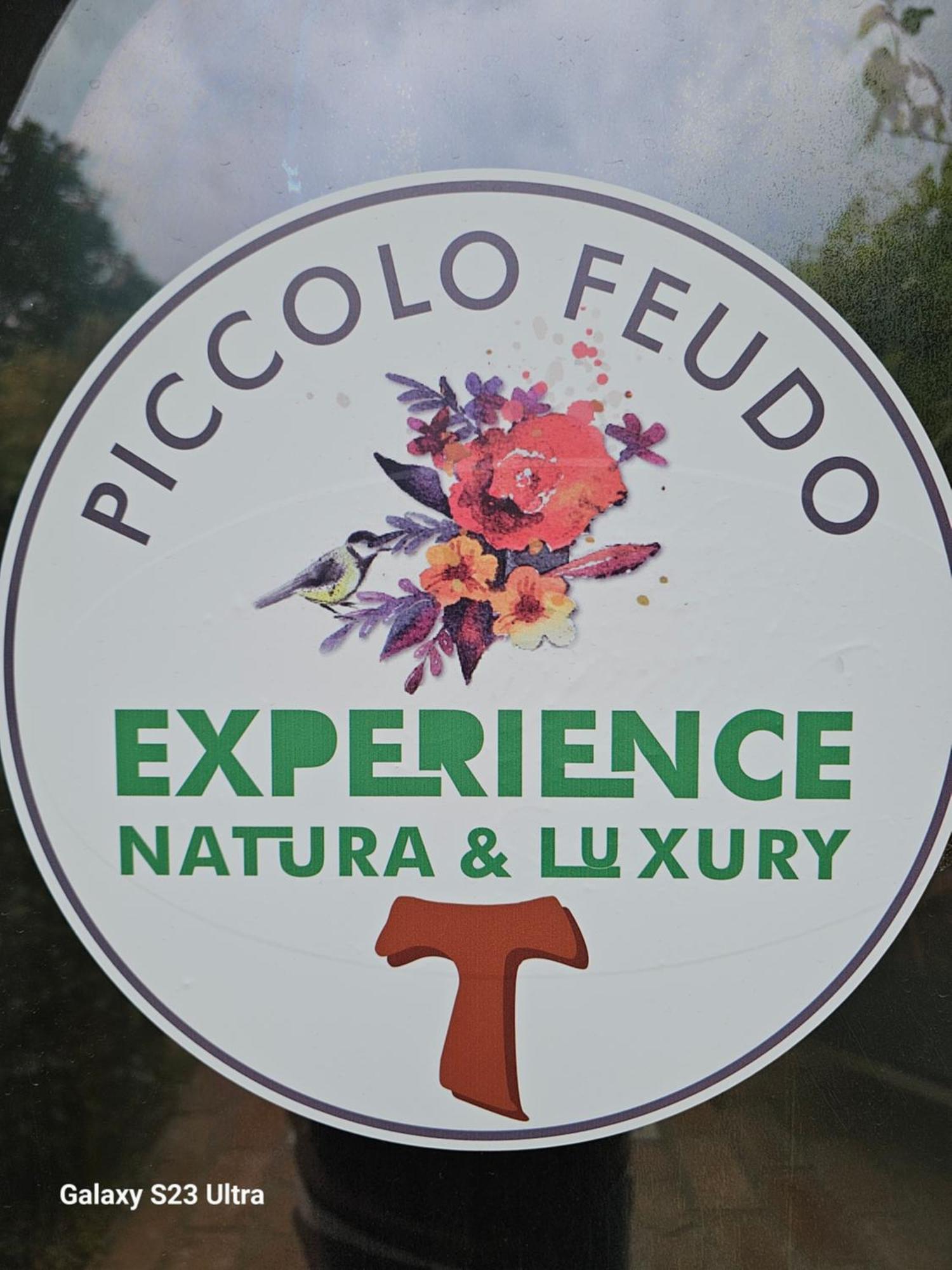 Piccolo Feudo Green Resort (Adults Only) Viterbo Værelse billede